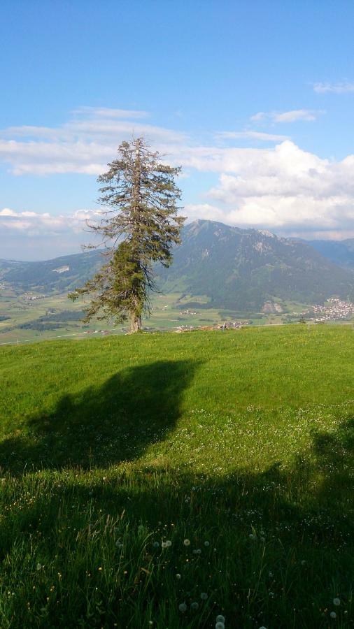 Ferienwohnung Schoenau Immenstadt im Allgaeu Luaran gambar